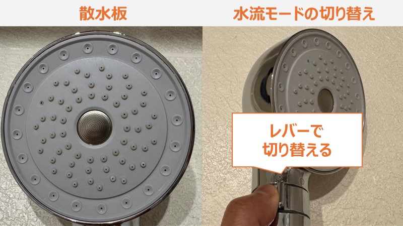 Mytrexの外観